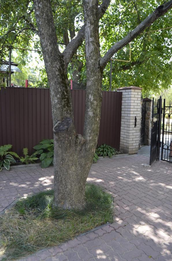 Апартаменти В Будиночку Біля Софіївського Парка Uman Exterior foto